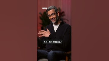 谷歌CEO：若AI泡沫破裂  無公司能倖免－ BBC News 中文