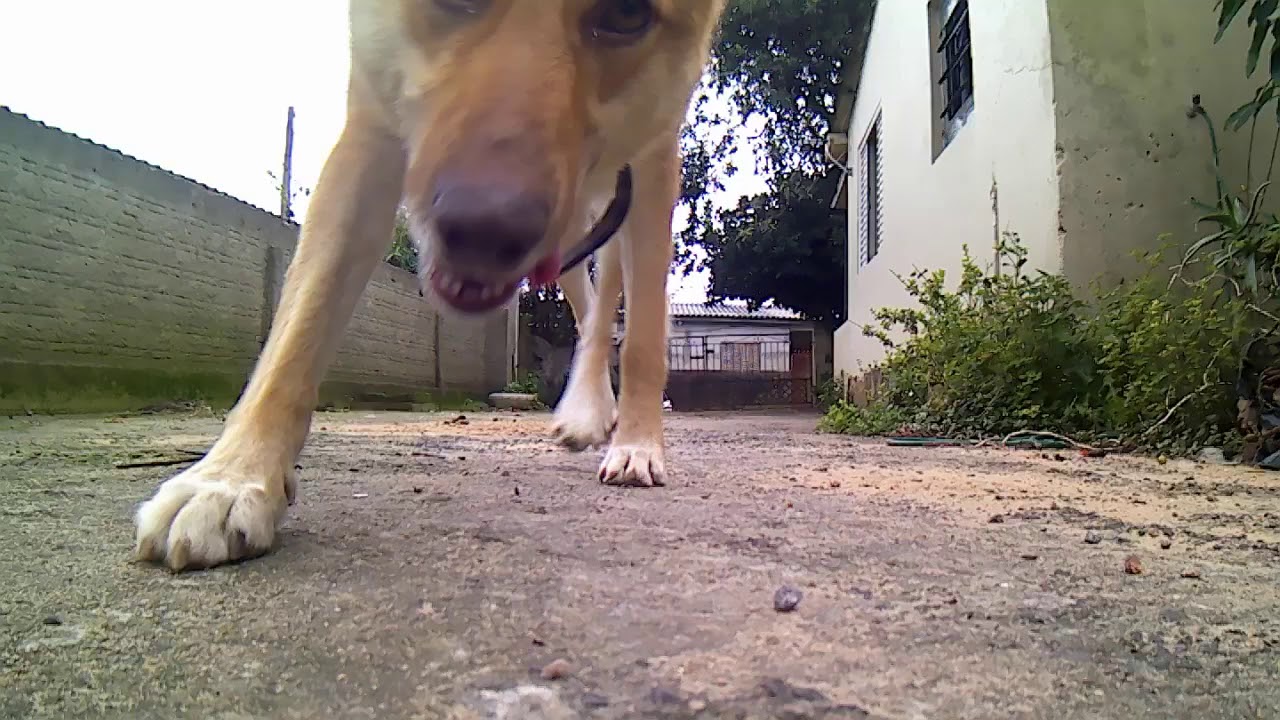 Furibee F60 Action Camera - Slow Motion - 720p / 120fps