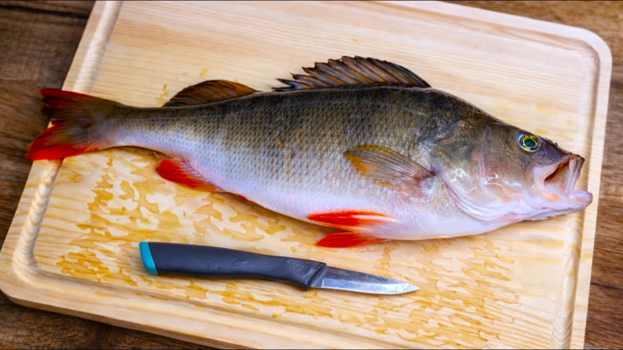 Как приготовить большого окунь