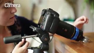 Fotografuj w ogrodzie! Jakiego sprzętu użyć do zdjęć makro screenshot 5