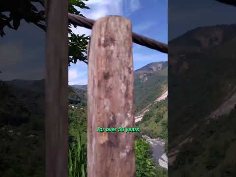 This Is How My Aunt Gets To Work Every Day 😎🤯