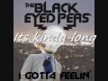 The Black Eyed Peas-I Gotta Feeling Lyric Video