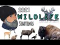 Wildlife Sightings (2021 Backpacking)