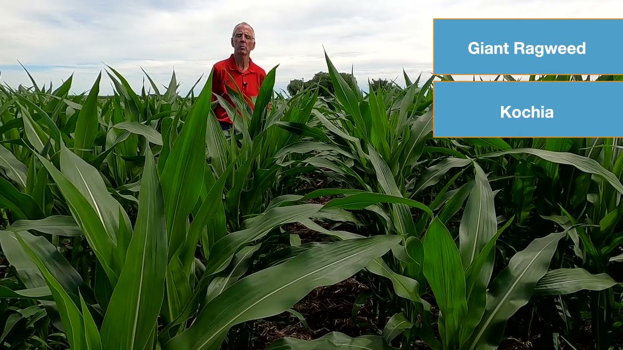 Acuron GT Overview with Wally West