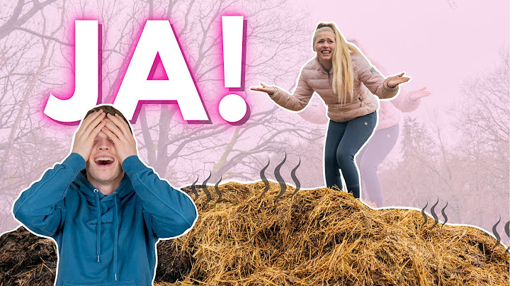 EINEN TAG NUR "JA" SAGEN!