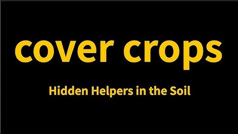 cover crops