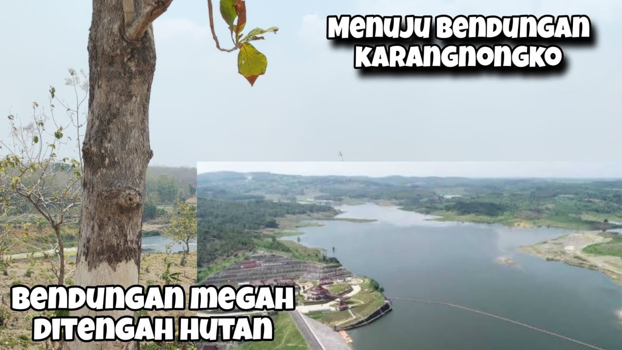 Bendung Karangnongko Proyek Besar Presiden Jokowi Di Tengah Hutan Perbatasan Blora Bojonegoro