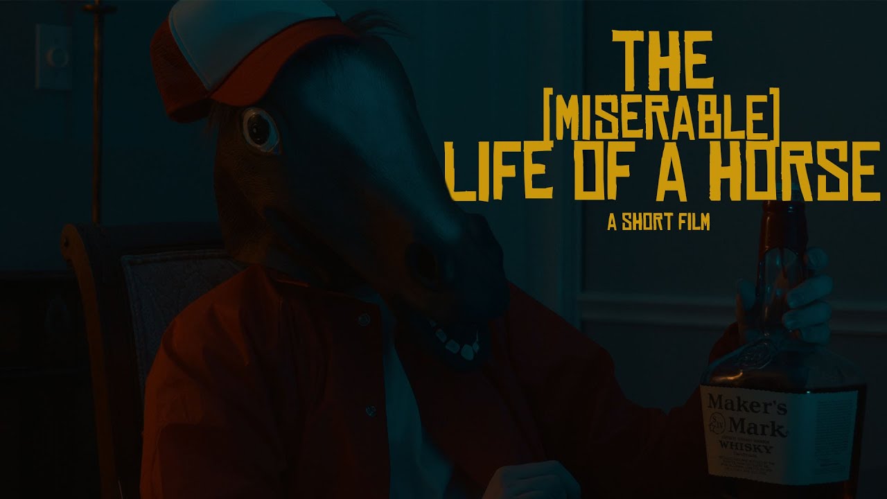 The (Miserable) Life of a Horse