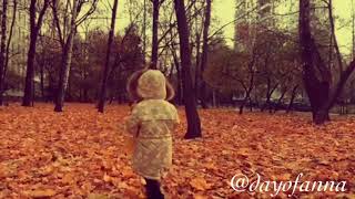 Осторожно! Листопад! / Cautious! It's the leaf fall!