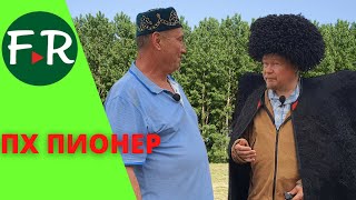 Romanov sheep and beef cows of the Aberdeen-Angus breed. The only breeding farm in Tatarstan