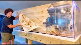 I Spent $5,000 On A GIANT Fish AQUARIUM!?