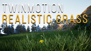 Realistic Grass in Twinmotion 2024 Tutorial