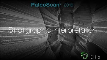 Tutorial - Stratigraphic Interpretation - PaleoScan™ 2016