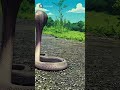 #snake #snakevideo #viralvideo#ai#aivideo#trending#shorts