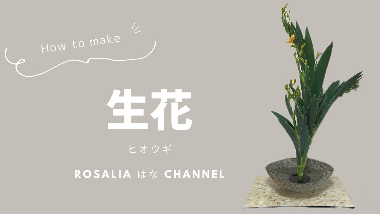 【いけばな/池坊】生花 ヒオウギ 夏 【ikebana flower arrangement tutorial】【how to make】