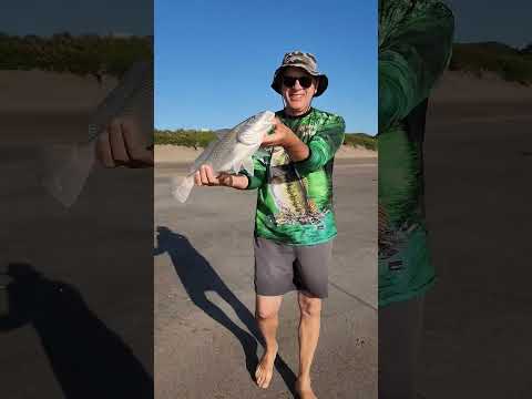 Pesca de CORVINA