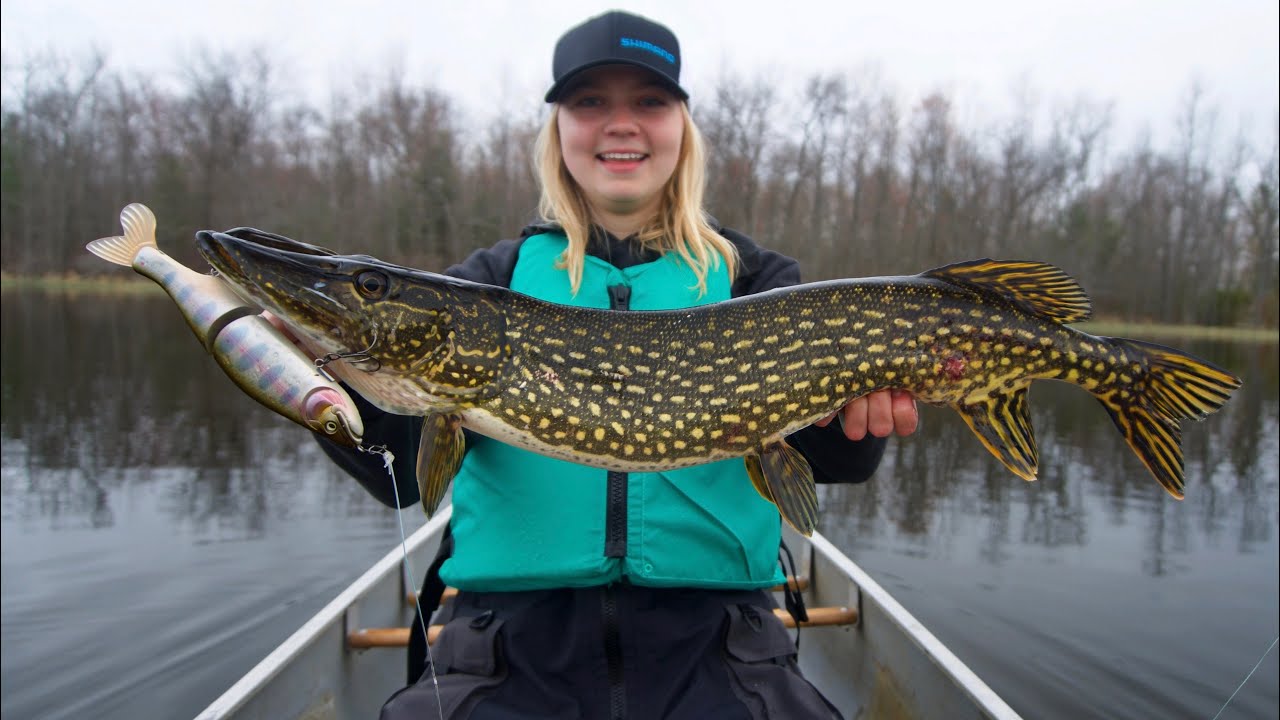 Pike Fishing from a Canoe in STACKED Bay!! YouTube