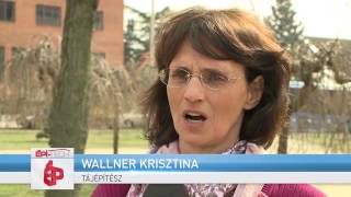 Két Új Burkolatot Mutatott Be A Tájépítészeknek A Mixtura Kft.