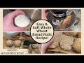 The Softest Whole Wheat Bread Rolls Recipe Ever!