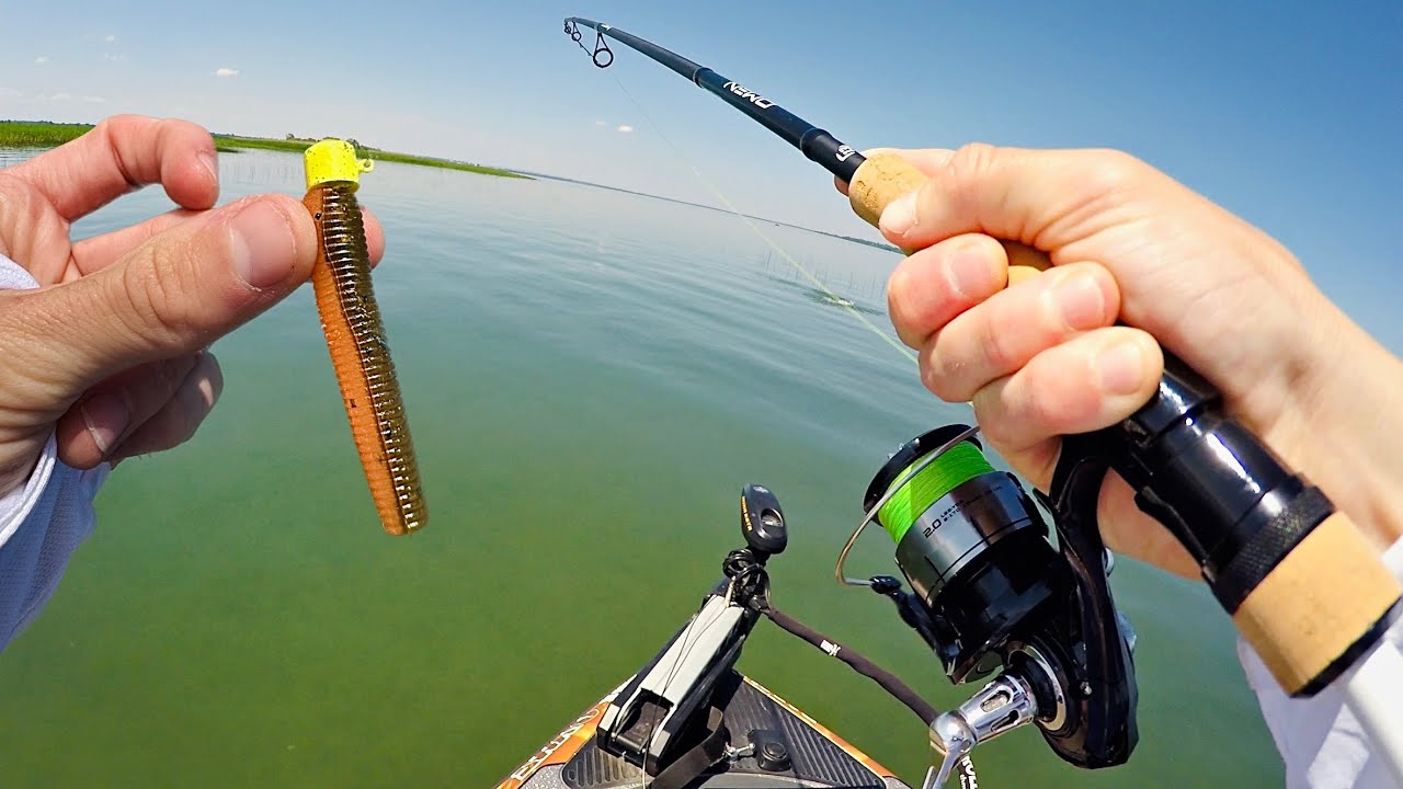 Pêche au NED RIG pour l'Achigan! (Cours 101)