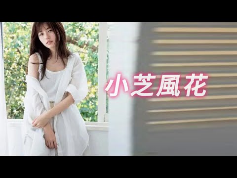 小芝風花