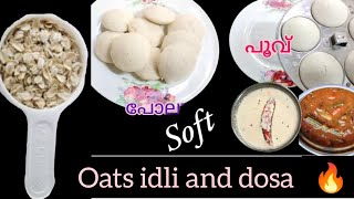 oats recipes for weight loss|oats dosa and idly recipe in malayalam| വണ്ണം കുറയ്ക്കാൻ ഓട്ട്സ്