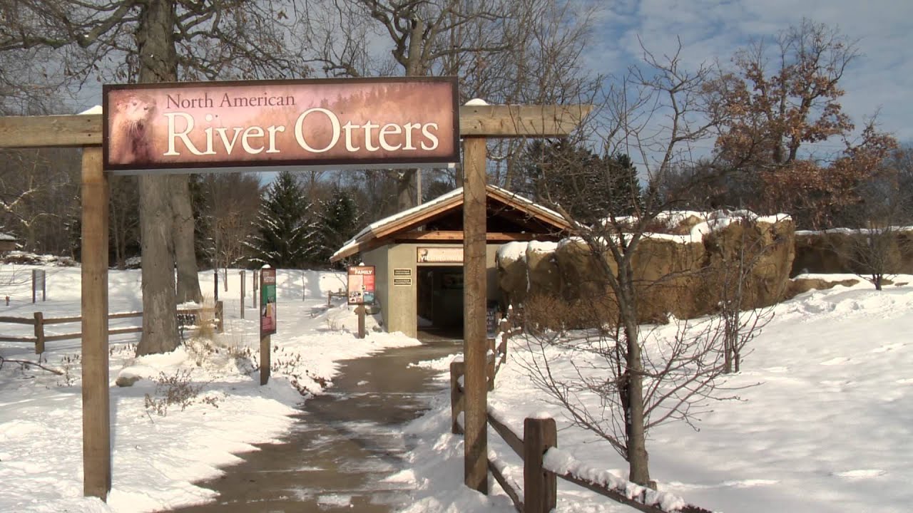 Winter Days at Potawatomi Zoo YouTube