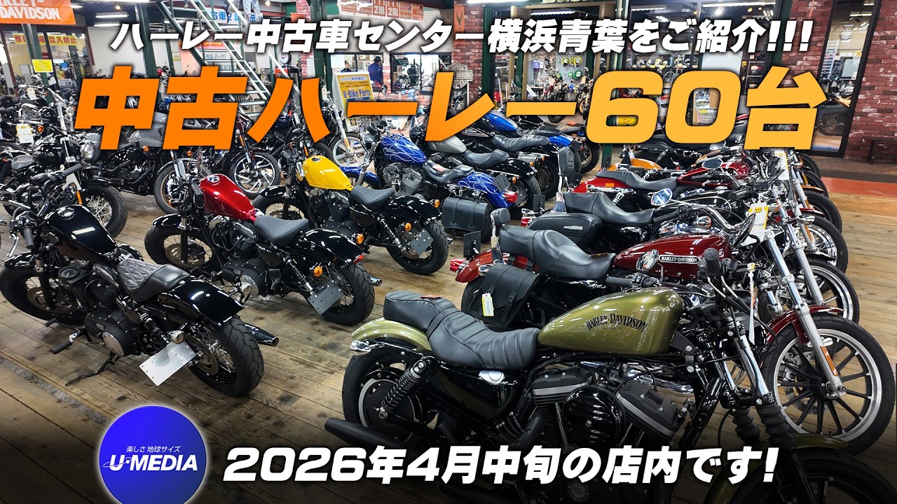 The largest selection of used Harley-Davidson motorcycles in the