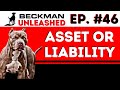 Beckman unleashed 46  are pit bulls the best guarding breed