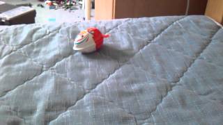 Black Bird Lay An Egg