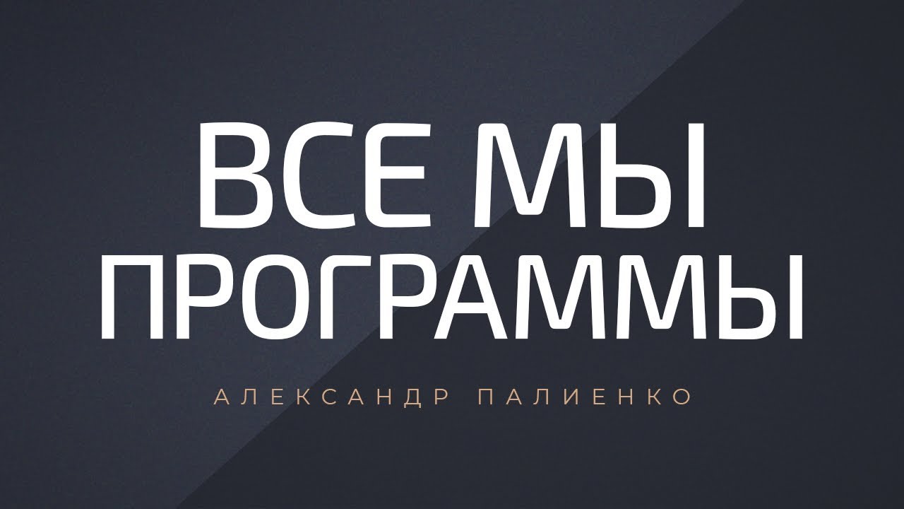 Все мы - программы. Александр Палиенко.