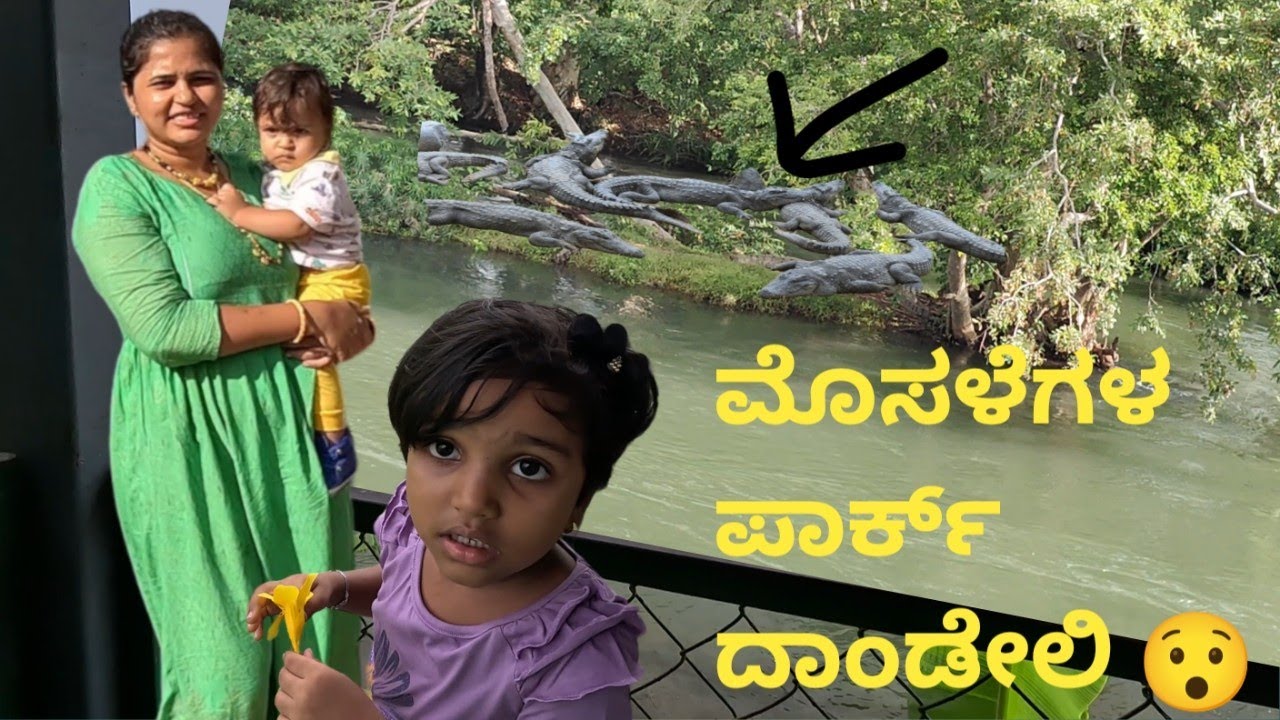 Dandeli must visit Crocodile Park | Kali river crocodile park dandeli | dandeli places dandeli park