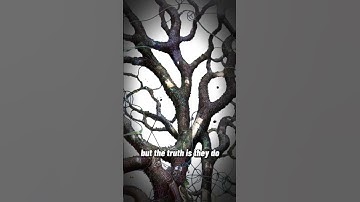 The Shocking Truth about How Trees Communicate (EXPLAINED)