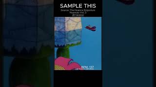 $1 Sample Chops 🎹 (Flip This) #029 #samplethis #boombap #nuancesvolumethree #producerlife