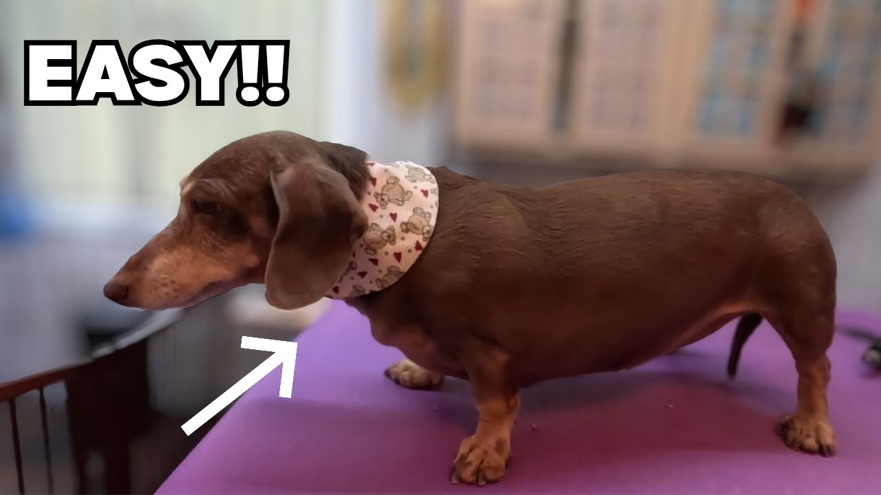 My favorite kind of grooming.