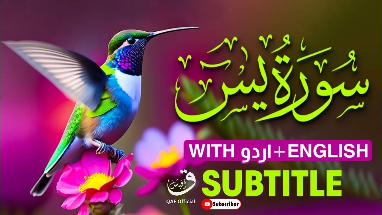 Surah Ya-sin | Surah Yaseen full | سورۃ یس | with Urdu & English translation |@qafofficial