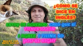 ¿Cómo se dice en inglés estoy de acuerdo, eso es verdad, creo que sí, tienes razón, no tienes razón?