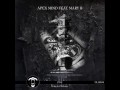 Apex Mind Feat. Mary B - One - DLH004