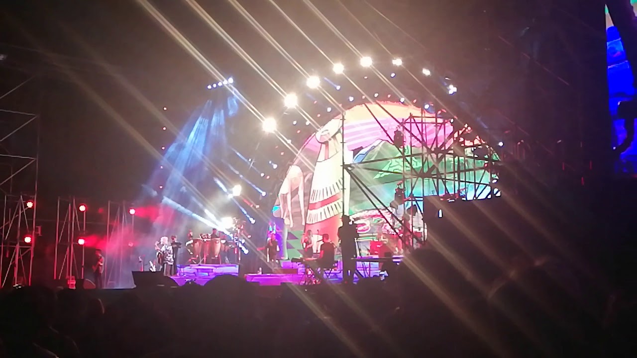 Hoy voy a verte de nuevo