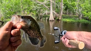 SAC-A-LAIT (crappie) Swamp Fishing | Ramah Louisiana