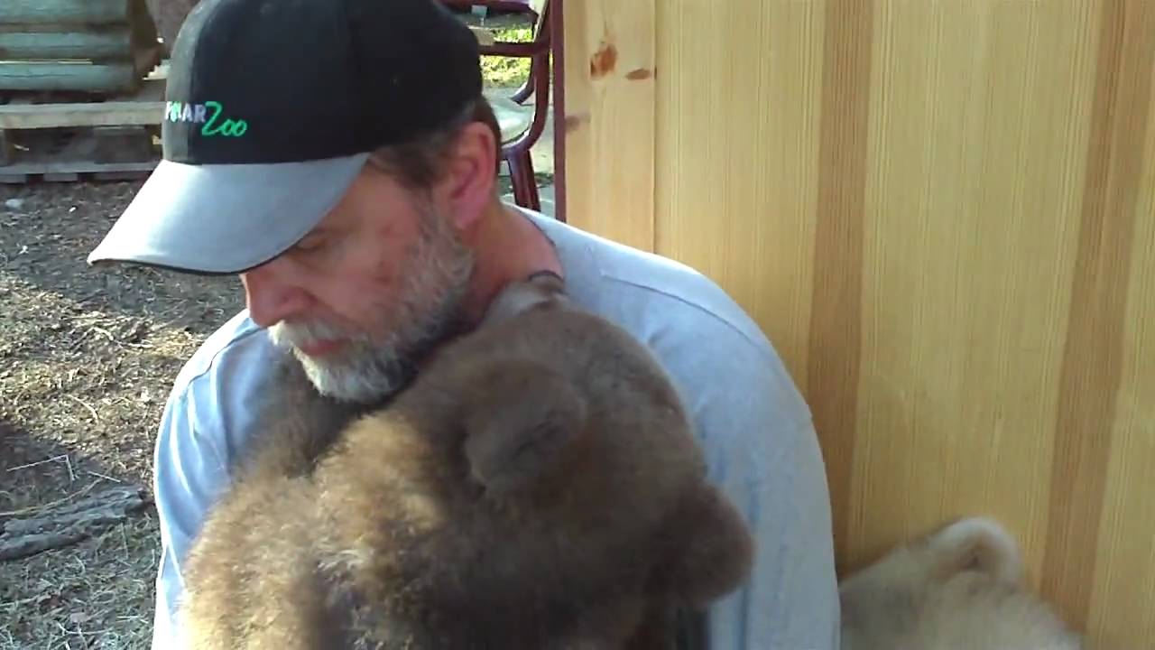 bear cuddle YouTube