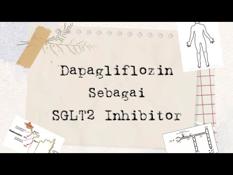 Obat Dapagliflozin dan Mekanisme kerjanya pada SGLT2