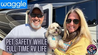 Pet Safety While Full Time RV Life! Waggle Pet Monitoring System.