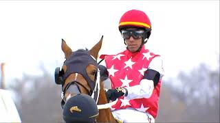 RACE 2 AQUEDUCT USA -15 FEB 2026