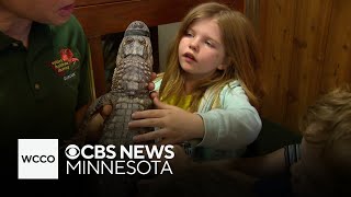 Snakes and turtles and crocodiles, oh my! How the RAD zoo educates the public on a wide variety of r
