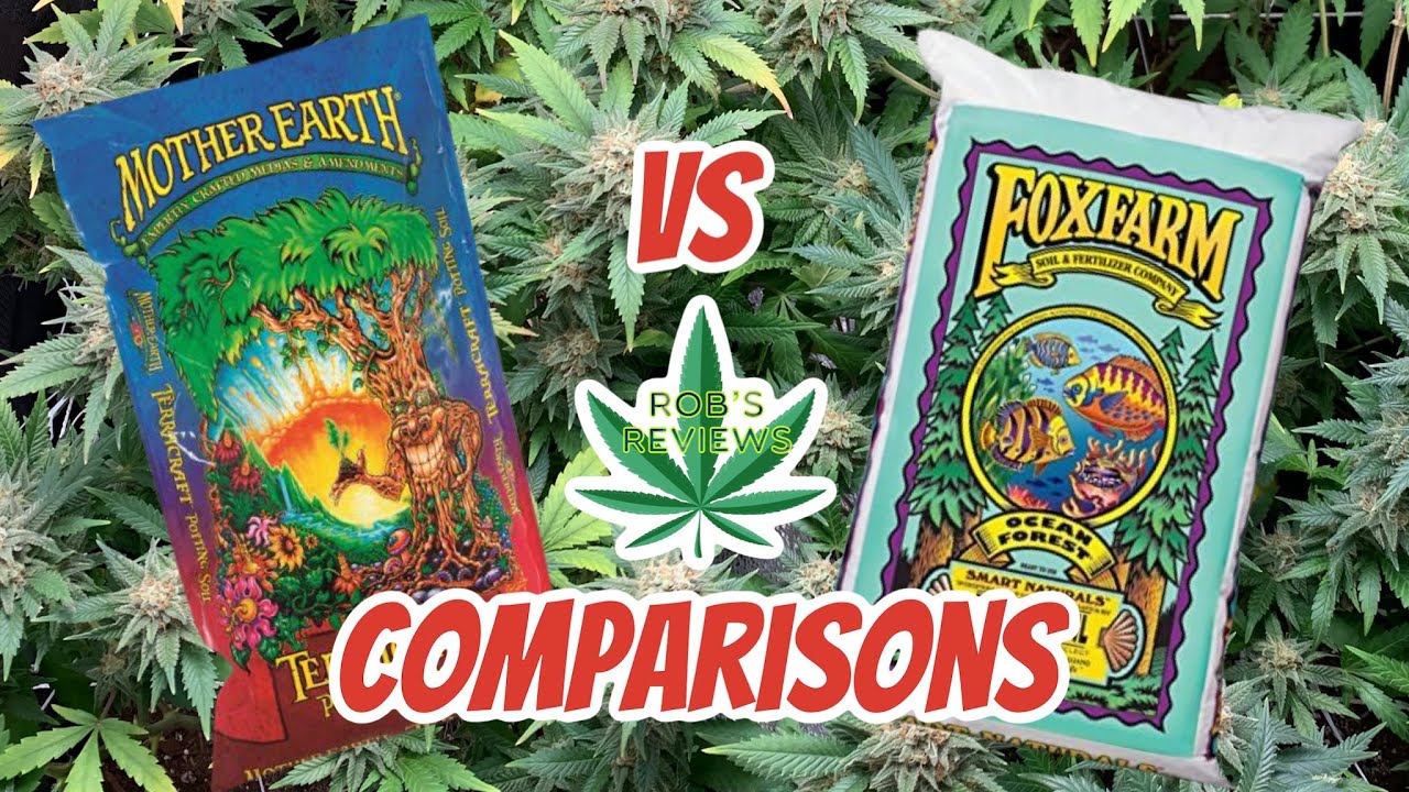 FOX Farm Ocean Forest Vs Morther Earth Terracraft (Visual Comparison)