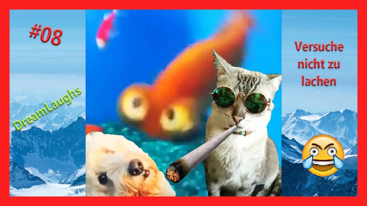 Versuche Nicht Zu Lachen 2018 Extrem Emotions4you