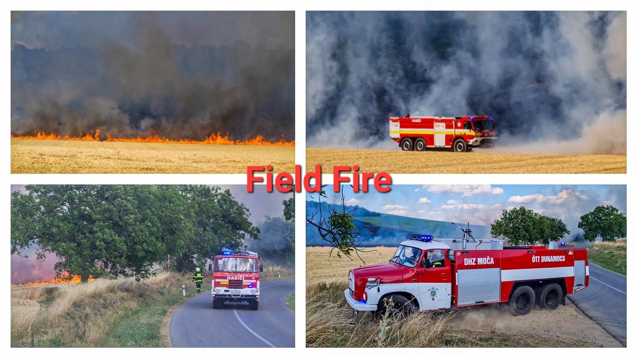 Požiar pola pri Modranoch/Tarló és gabonatűz Madarnál/ Field Fire Slovakia (2025.6.29.)
