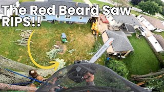Our First Job With Our Red Beard Chainsaw!