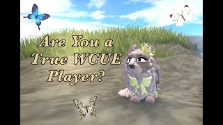 LuckyFox's Are You a True WCUE Player?